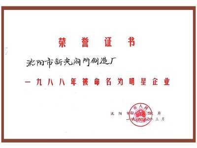 明星企业荣誉证书